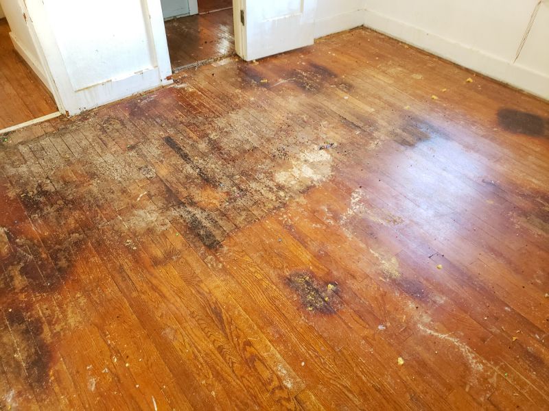 Hardwood Floor Repair